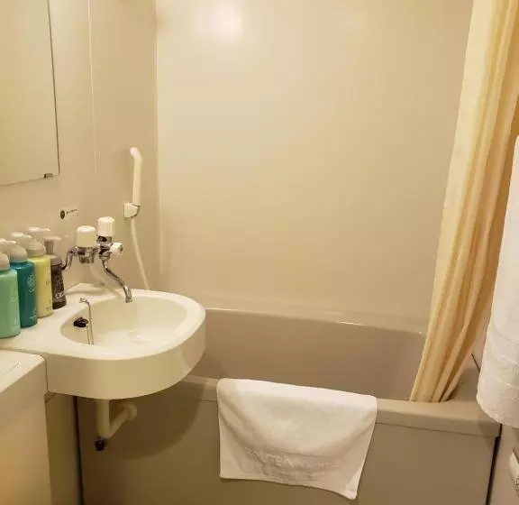 Standard Yhden Hengen Huone, Route Inn Komagane Inter