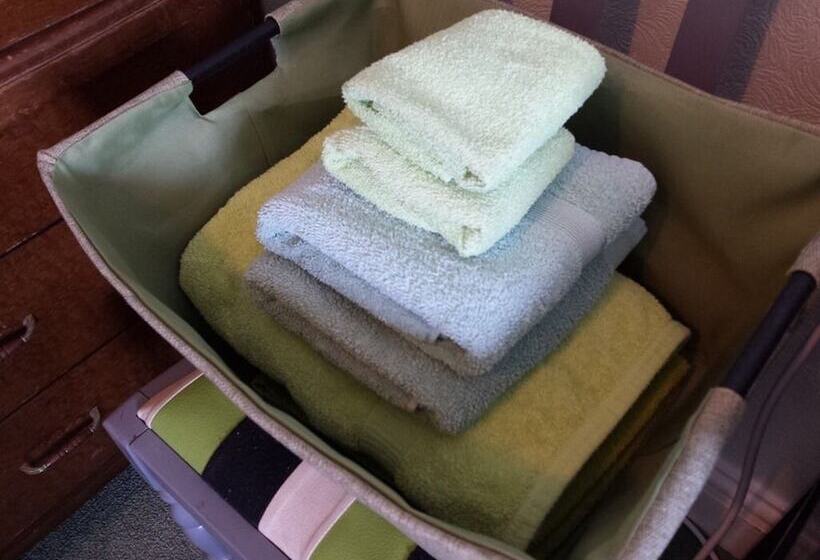 バス共有のスタンダードルーム, The Ravensbourne