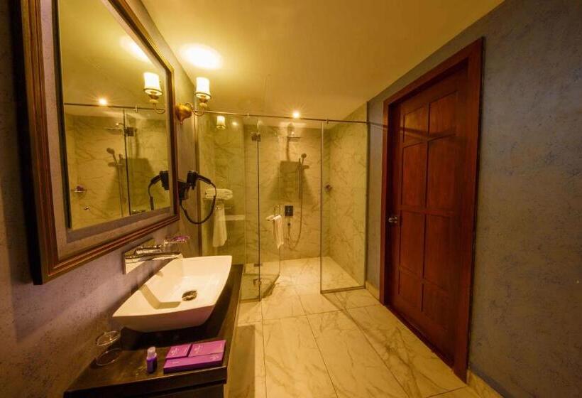 غرفة بريميوم مطلة على المدينة, The Steuart By Citrus