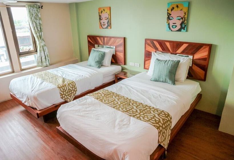 高级大房间, Tree Retro