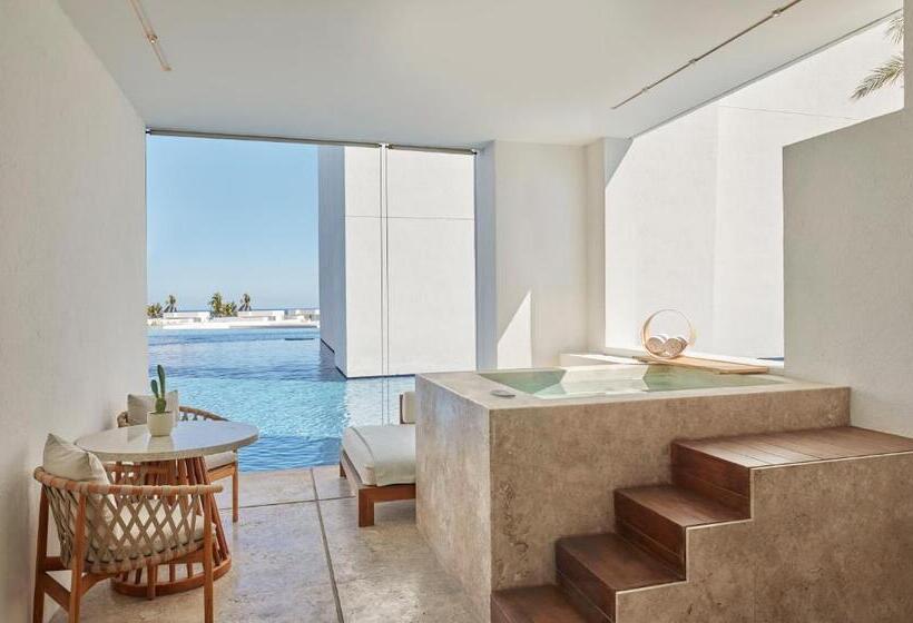 Полулюкс с Бассейном, Viceroy Los Cabos