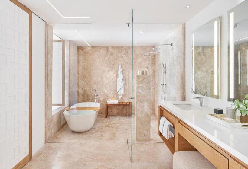 Полулюкс Боковой Вид на Море, Viceroy Los Cabos