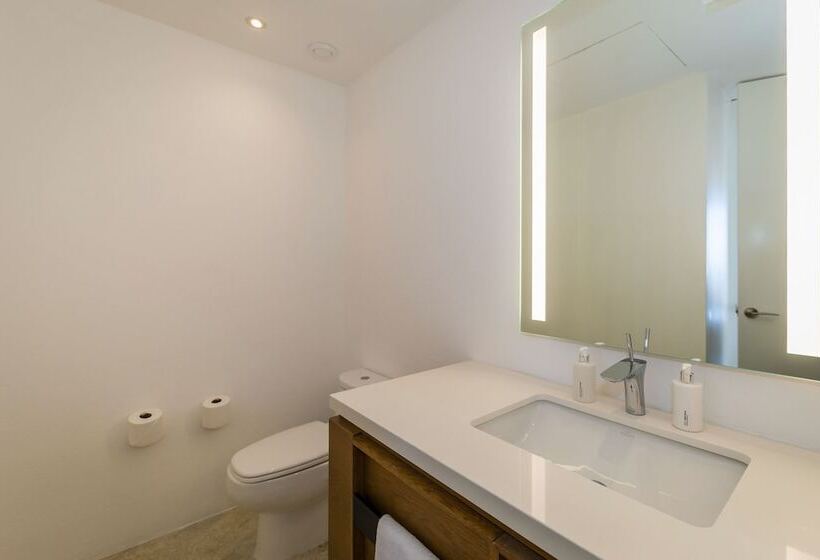 Люкс Вид на Море, Viceroy Los Cabos