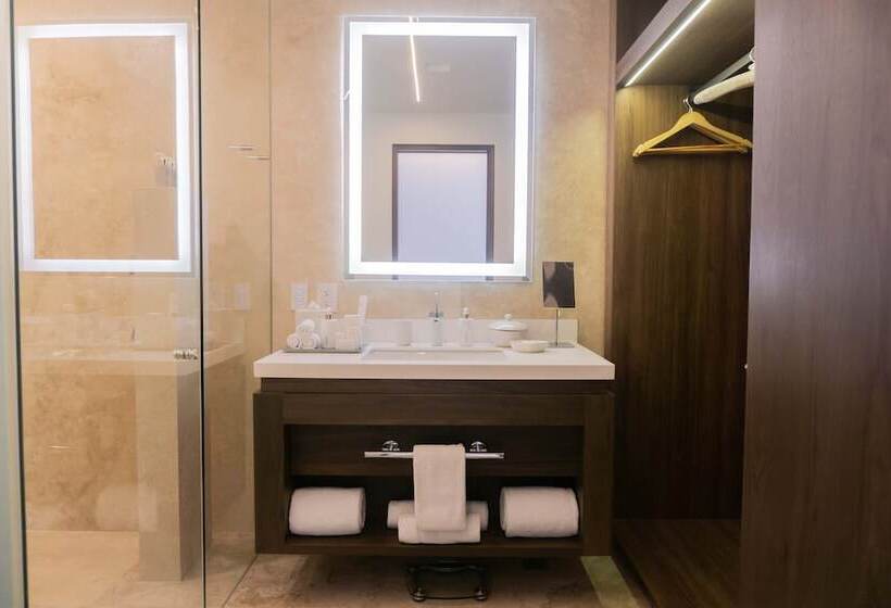 １ベッドルームペントハウスアパート, Viceroy Los Cabos