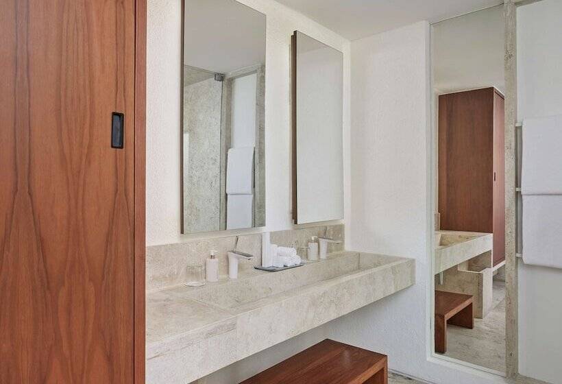 Полулюкс с Бассейном, Viceroy Los Cabos