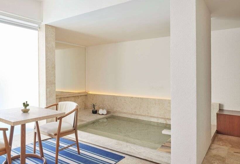 Полулюкс с Бассейном, Viceroy Los Cabos