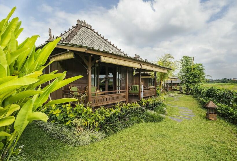 景色の見えるスイートルーム, Arya Villas Ubud