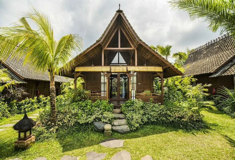 景色の見えるスイートルーム, Arya Villas Ubud