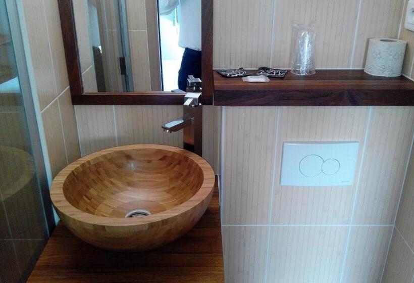 חדר סטנדרט, Green S Fleury Merogis