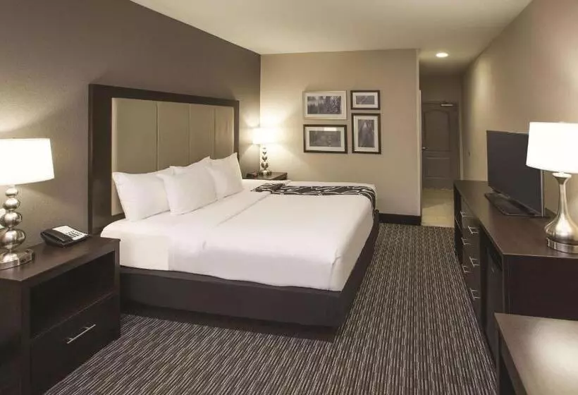 キングサイズベッドのスタンダードルーム, La Quinta By Wyndham Hattiesburg   I 59