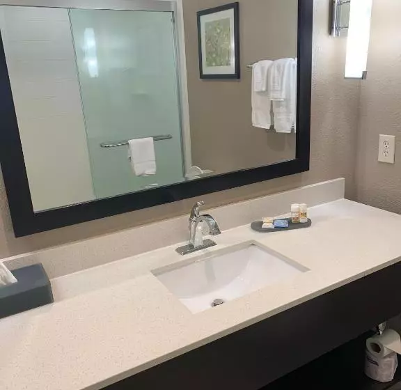 キングサイズベッドのスタンダードルーム, La Quinta By Wyndham Hattiesburg   I 59