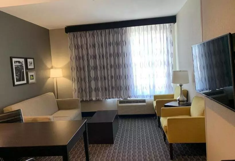 キングサイズベッドのエクゼクティブルーム, La Quinta By Wyndham Hattiesburg   I 59