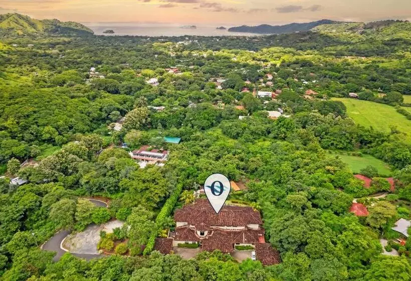オーシャンビューの１ベッドルームビラ, Villa Buena Onda   All Inclusive