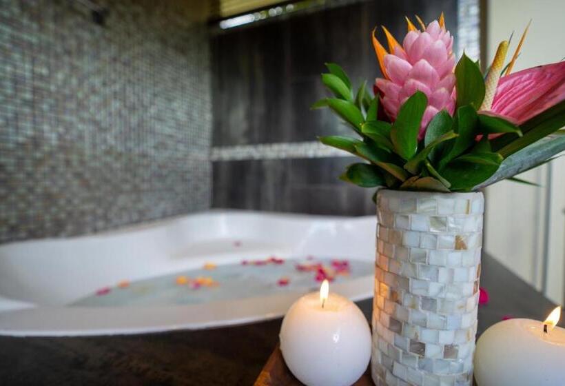 オーシャンビューの１ベッドルームビラ, Villa Buena Onda   All Inclusive