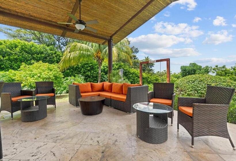 オーシャンビューの１ベッドルームビラ, Villa Buena Onda   All Inclusive