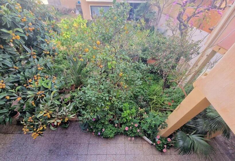 اتاق استاندارد, B&b Ametista