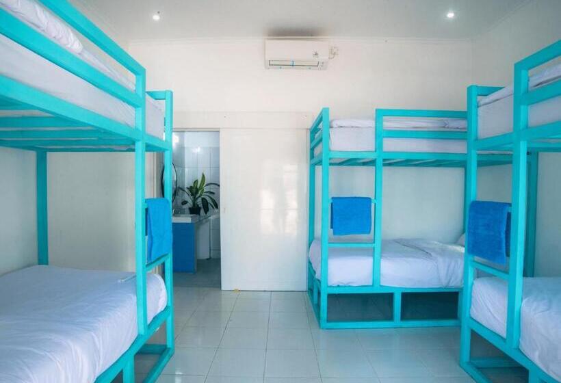 Кровать в Общей Комнате, Mad Monkey Nusa Lembongan