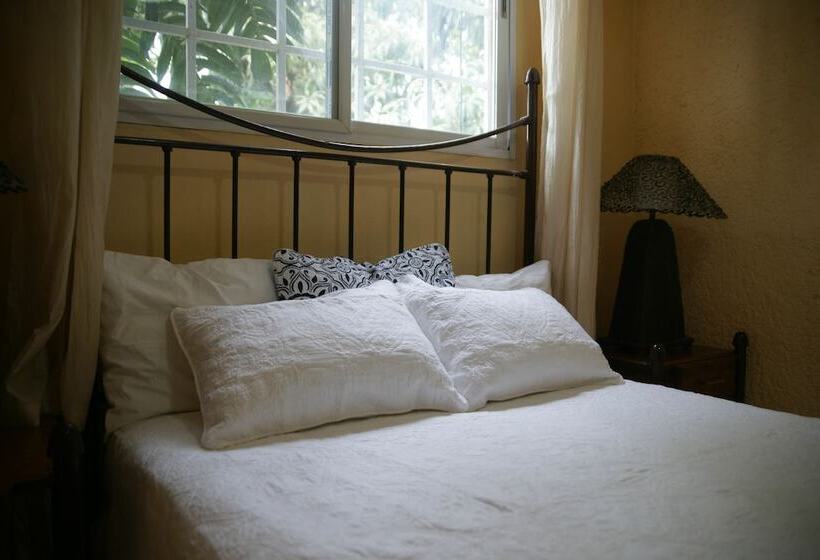 آپارتمان 1 خوابه, Corail Suites