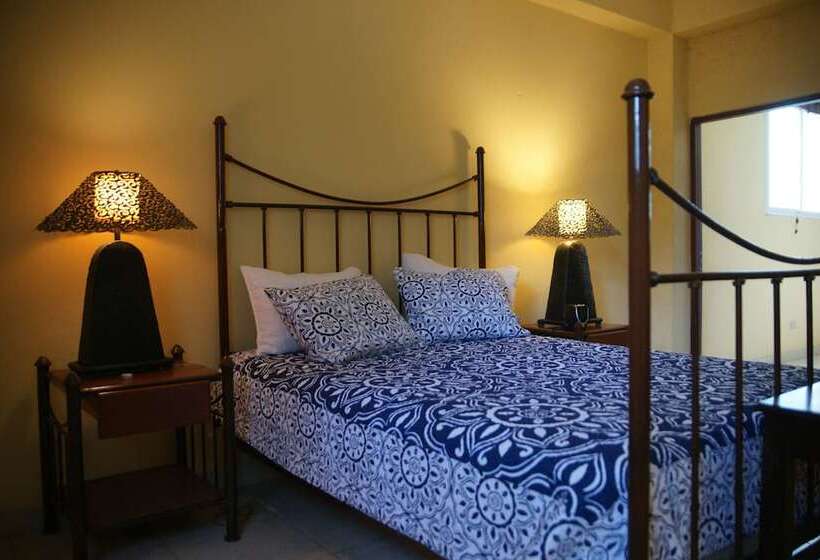 آپارتمان لوکس 1 خوابه, Corail Suites