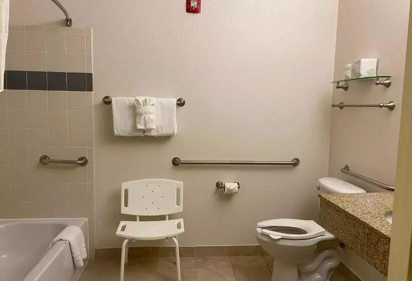 身障者適用スタンダードルーム, A Riverside Inn Travelodge By Wyndham