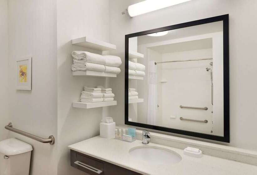 غرفة قياسية لذوى الاحتياجات الخاصة, Hampton Inn & Suites Deland