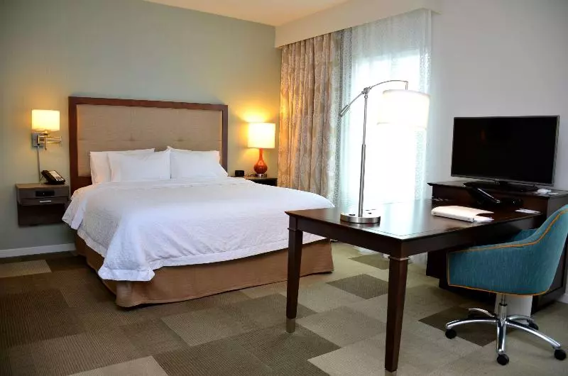 キングサイドベッドのスタンダードワンルーム, Hampton Inn & Suites Deland
