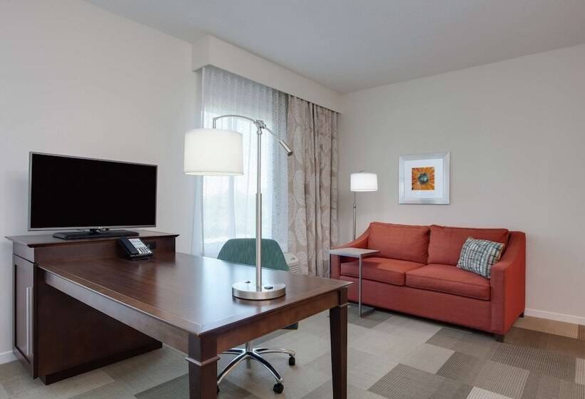 غرفة قياسية لذوى الاحتياجات الخاصة, Hampton Inn & Suites Deland