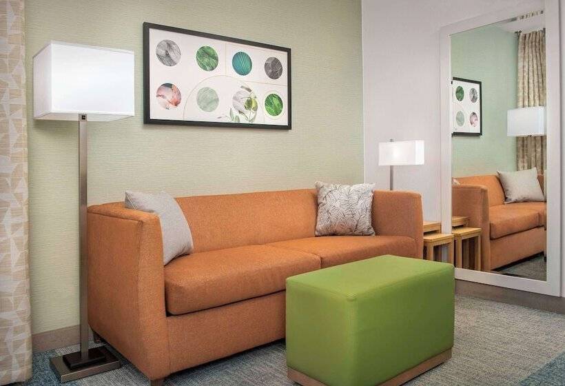 Studio Standard, Home2 Suites By Hilton Lexington University / Medical Center