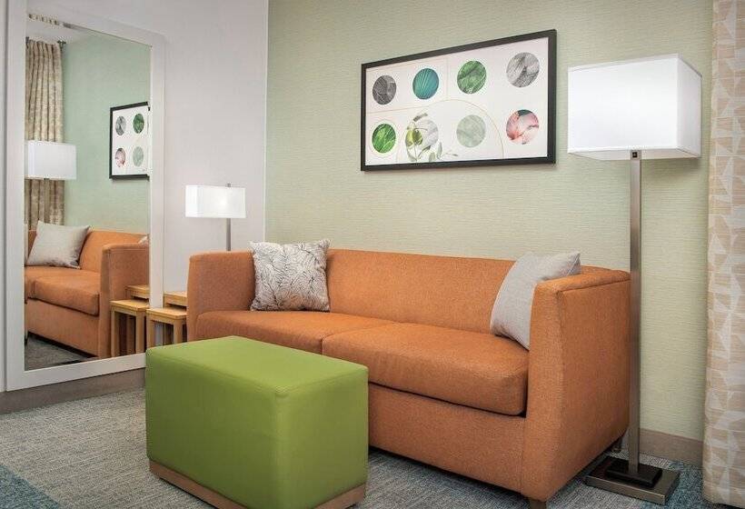 Suite Adaptată pentru Discapacitaţi, Home2 Suites By Hilton Lexington University / Medical Center