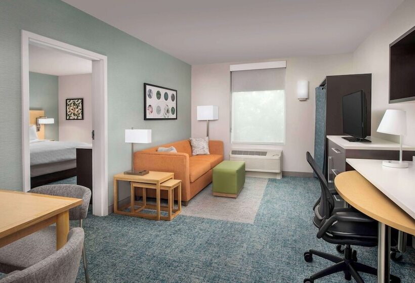 Suite Adaptată pentru Discapacitaţi, Home2 Suites By Hilton Lexington University / Medical Center