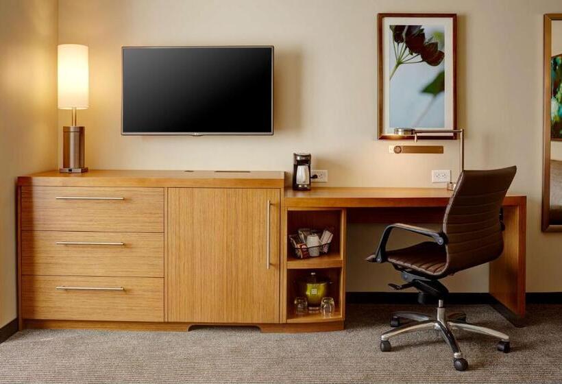 身障者適用スタンダードルーム, Hyatt Place New York Yonkers