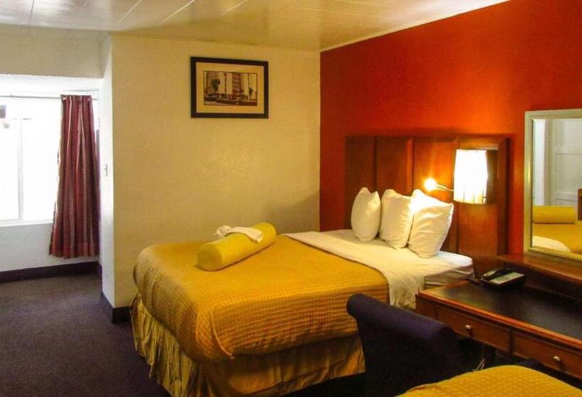 Номер Стандарт, Magnuson Cedar City