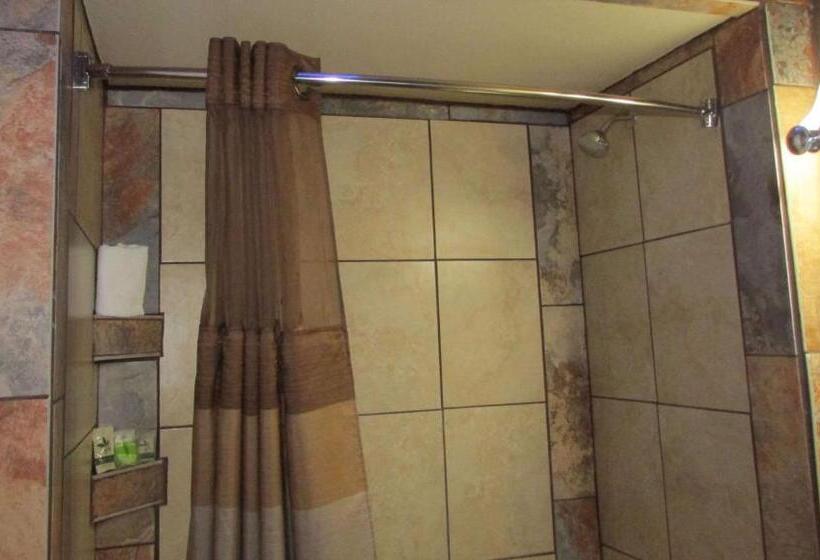 Номер Deluxe Кровать Кинг, Magnuson Cedar City