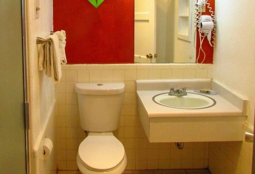 Номер Стандарт, Magnuson Cedar City