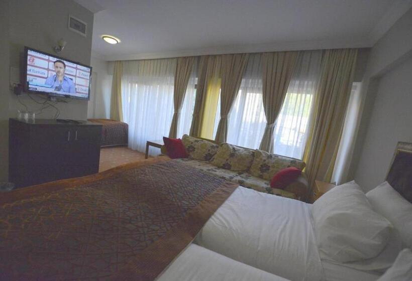 スタンダードトリプルルーム, Palace Point