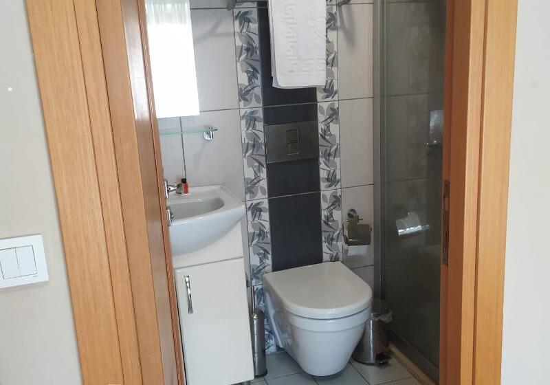 エコノミーシングルルーム, Palace Point