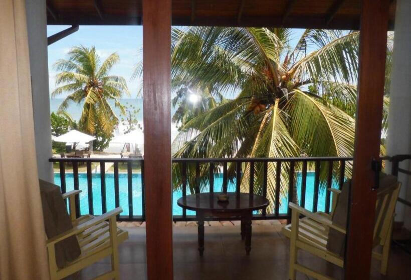 디럭스 룸 바다 전망, Paradise Beach Club