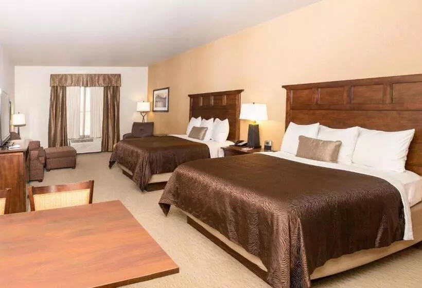 Deluxe-huone, Teddy's Residential Suites New Town