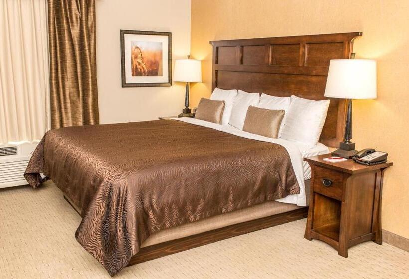 Люкс Superior, Teddy's Residential Suites New Town