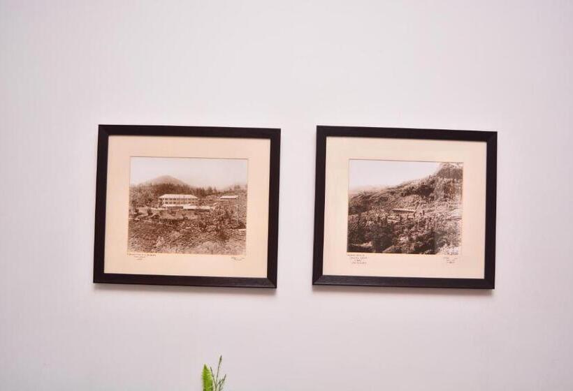 Пентхаус, Unique Cottages