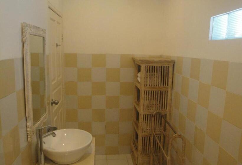 标准间, Scallywags Mango