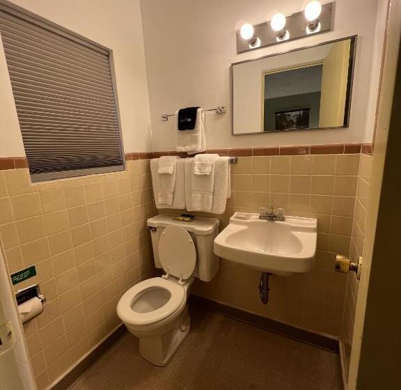 스탠다드 룸 킹사이즈 침대, Cedars Motel