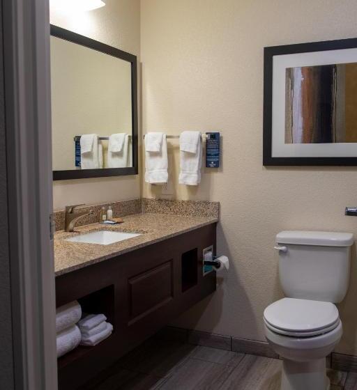 غرفة ديلوكس سرير كينج, Cobblestone Inn & Suites  Springfield