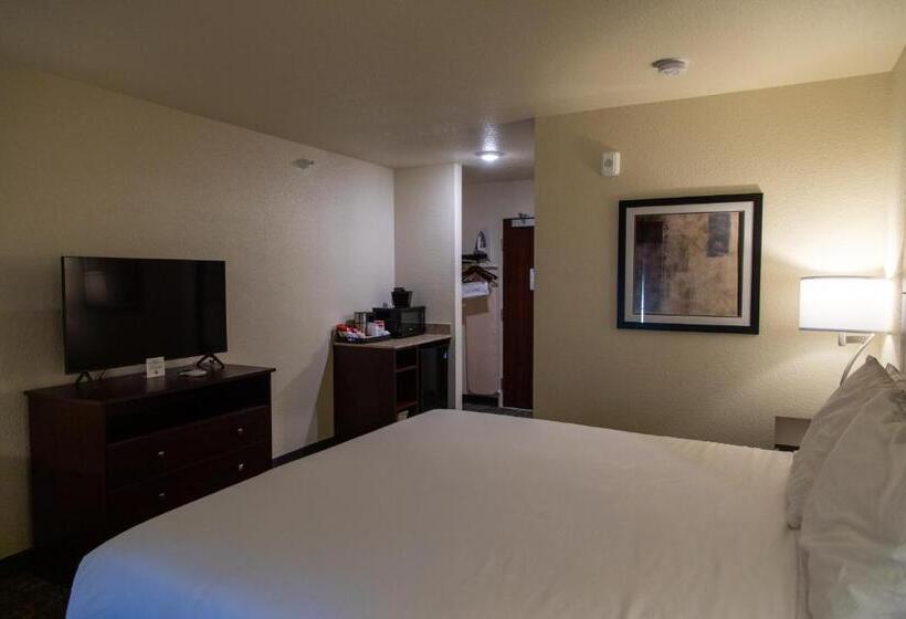 غرفة قياسية سرير كينج لذوى الإحتياجات الخاصة, Cobblestone Inn & Suites  Springfield