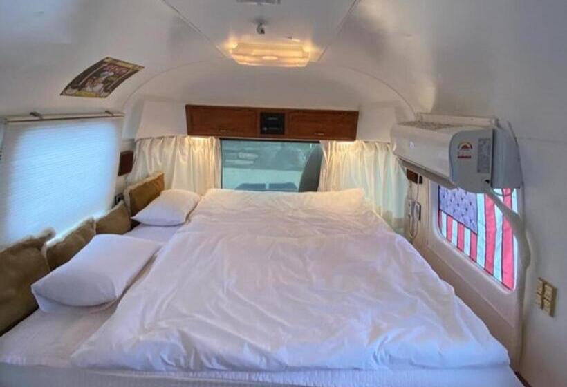 Chambre Quadruple Standard, Out Of Park