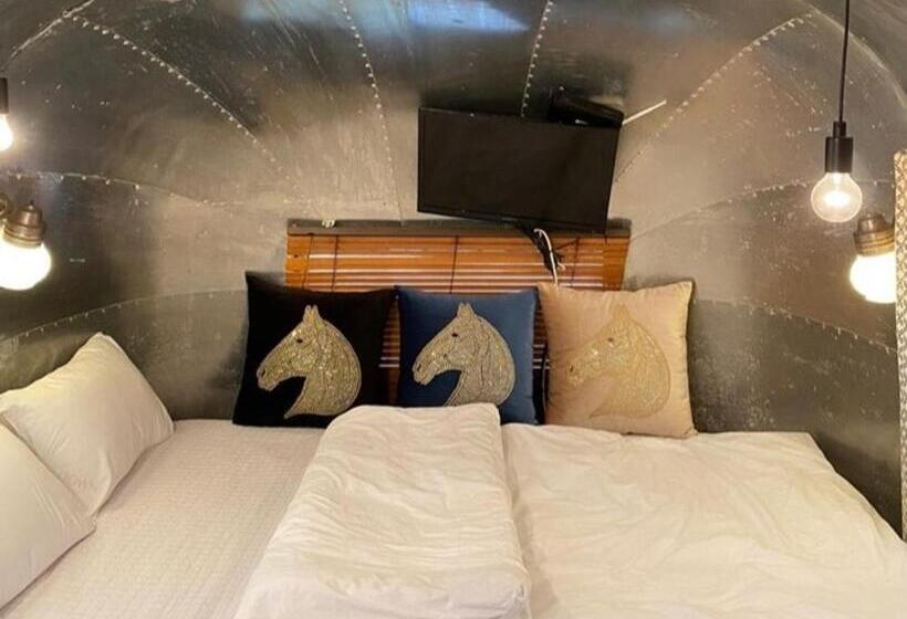 Quarto Estandar, Out Of Park