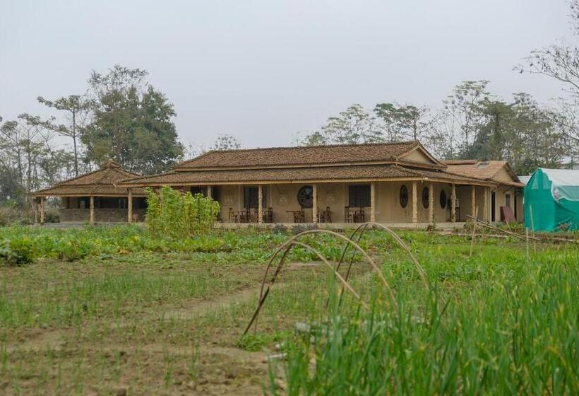 اتاق استاندارد, Tharu Community Lodge