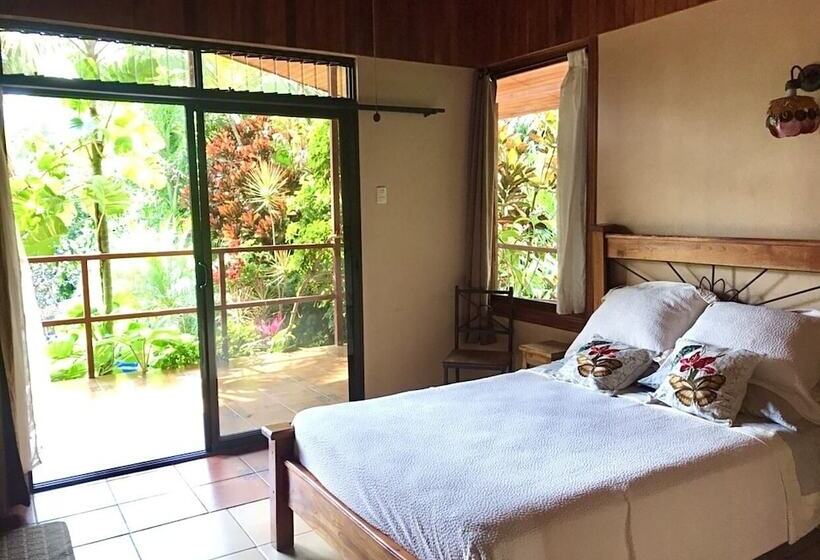 غرفة قياسية, Eden Atenas