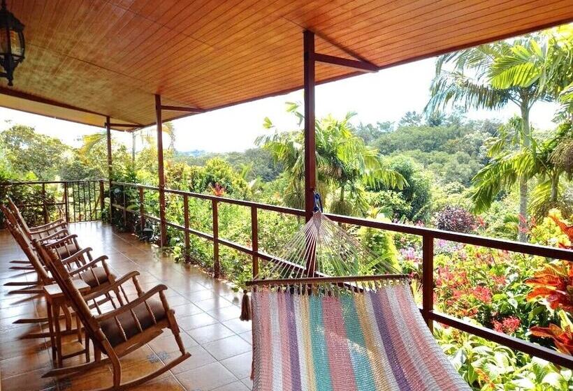 غرفة قياسية, Eden Atenas