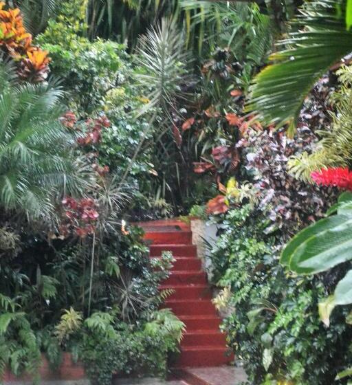 غرفة قياسية, Eden Atenas